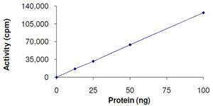 ab105125-10ug | Recombinant human CSNK2A2 protein