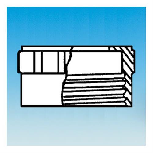 7616-19 | 19 22 cap rodaviss w hole