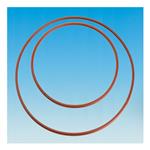 7855-694 | O ring Kalrez 168mm flat flange with o ring groove