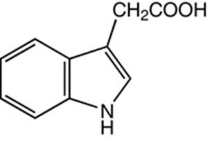 A10556-06 | Indole 3 acetic acid 98
