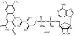 A14495-MC | Flavin adenine dinucleotide disodium salt hydrate