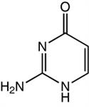 H54228-14 | Isocytosine 99