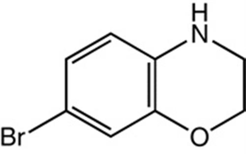 H61071-03 | 7 Bromo 3 4 dihydro 2H 1 4 benzoxazine 97