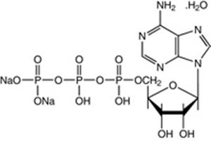 J61125-09 | Adenosine 5 triphosphate disodium salt hydrate 98