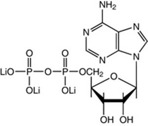 J64497-03 | Adenosine 5 diphosphate trilithium salt 98