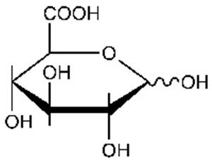 L14350-06 | D Glucuronic acid 98