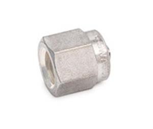 0100-0071 | Plug 1 8inch Stainless