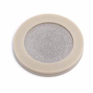 5022-2192 | SS filter assy with PEEK ring 2 um pore