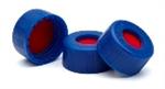5185-5862 | Blue screw cap PTFE sil PTFE spta 500pk