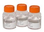 OPTIMIZE-4 100 ML | Ammonium Acetate