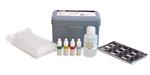 600030 | 30 Test kit, Controls included, Latex particle agglutination test