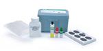 700025DC | 25 Test kit, Controls included, Slide agglutination test