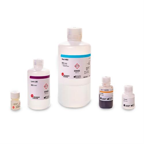 A32646 | RNAdvance Tissue Total RNA Isolation Kit, 384 preps
