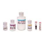 A35603 | RNAdvance Blood 50 Prep