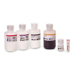 A48706 | DNAdvance Genomic DNA Isolation Kit, 384 preps