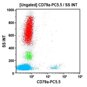 B42018 | CD79a-PC5.5, HM47, 0.5 mL, ASR
