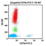 B42018 | CD79a-PC5.5, HM47, 0.5 mL, ASR