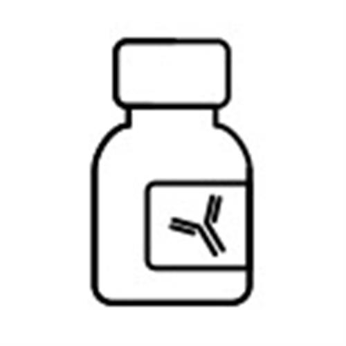 IM2468U | CD4-APC, 13B8.2, 1 mL, ASR