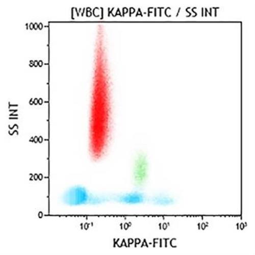 C15623 | Kappa Chain-FITC, Polyclonal, F(ab