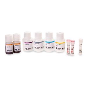 C35991 | FormaPure XL Total Nucleic Acid Extraction Kit, 50 preps