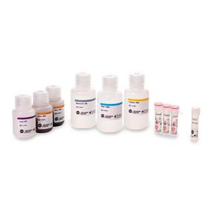 C35992 | FormaPure XL Total Nucleic Acid Extraction Kit, 96 preps