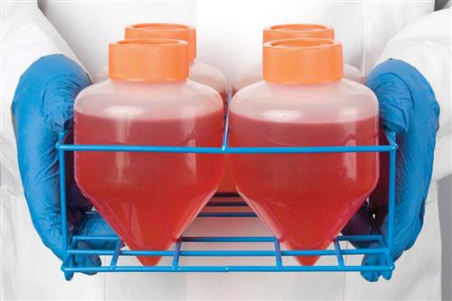 F19856-0500 | POXYGRID 500ML CONICAL TUBE RACK