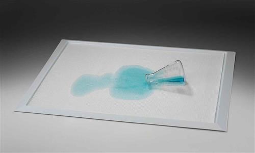 F24675-0050 | TRAY PS SPILL CONTAINMENT