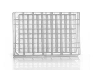 4TI-0126 | 96 Square Deep Well Storage Microplate