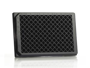 4TI-0263 | 96 Well Assay Plate