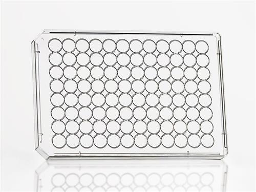 4TI-0282 | Microplate Lid