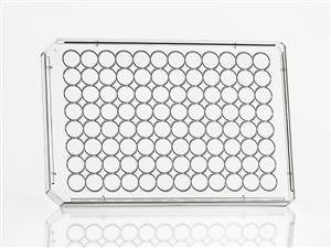 4TI-0282 | Microplate Lid