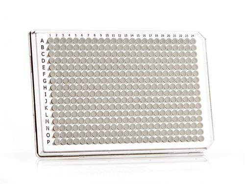 4TI-0381 | FrameStar® 384 Well Skirted PCR Plate, Roche Style