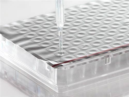 4TI-0536 | Foil Heat Seal