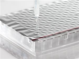 4TI-0536 | Foil Heat Seal
