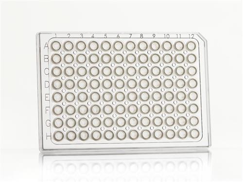4TI-0770/C | FrameStar® 96 Well Semi-Skirted PCR Plate, ABI® Style