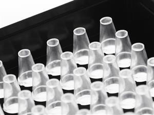 4TI-0970/RA | Individual Access 96 Well Skirted Optical Bottom PCR Plate