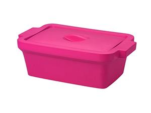 BCS-117PK | Ice Pan with Lid, Rectangle 4l