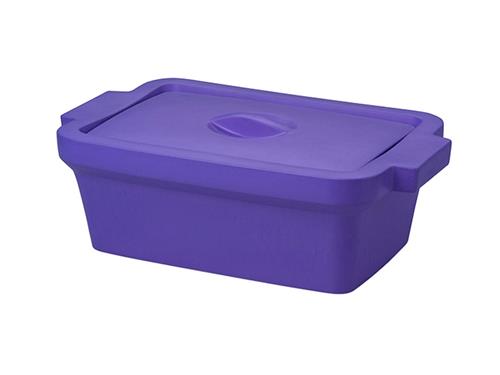 BCS-117PL | Ice Pan with Lid, Rectangle 4l