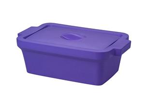 BCS-117PL | Ice Pan with Lid, Rectangle 4l
