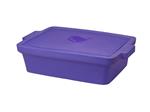 BCS-118PL | Ice Pan with Lid, Rectangle 9l