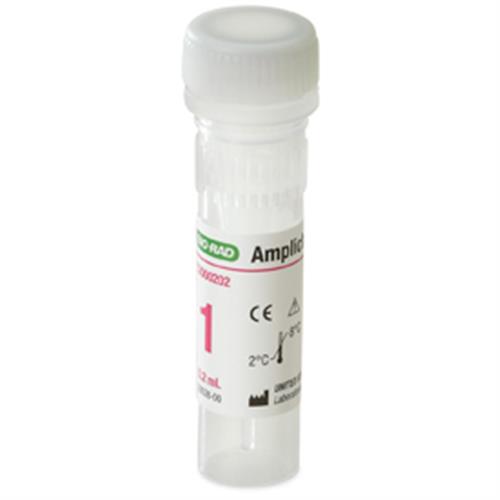 12000202 | Amplichek II 1 10x0.2ML