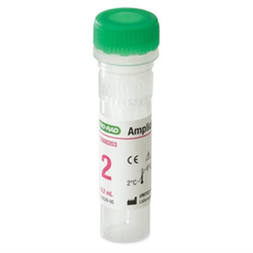 12000203 | Amplichek II 2 10x0.2ML