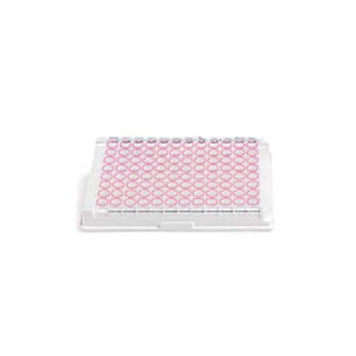 25177 | CMV IgG EIA Test Kit