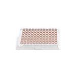25179 | HSV IgG EIA Test Kit