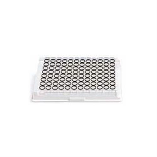 25184 | EB VCA IgG EIA Test Kit