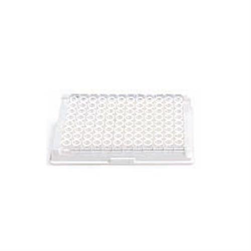 25185 | EB VCA IgM EIA Test Kit