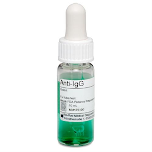 804175100 | AHG Anti IgG 10x10mL