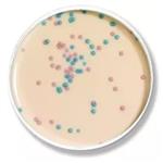 63751 | VRESelect 20x90mm plates