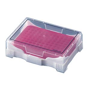 781260 | PCR Mini Cooler pink pack of 2