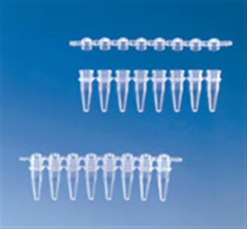 781333 | PCR 8 tube strips w attached caps clear low profil